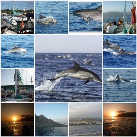 Mer et rencontre dk