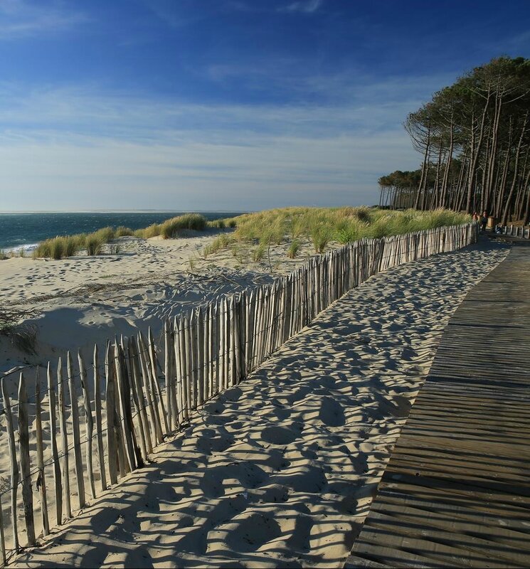 plage-de-la-lagune-a-la-teste-de-buch-5599741c