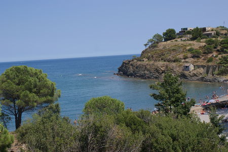 DSC01870