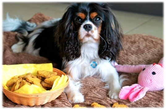 biscuit3 (6)