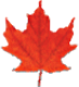 Feuille_3