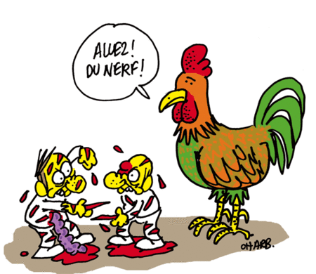 923_combat_de_coqs_puce