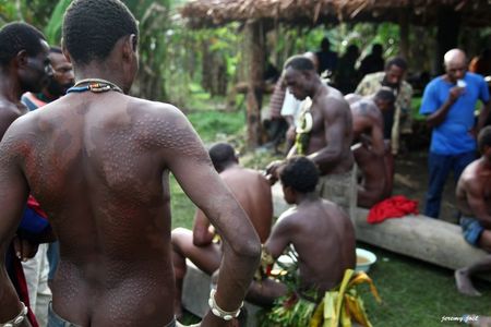 Hommes crocodiles et scarifications