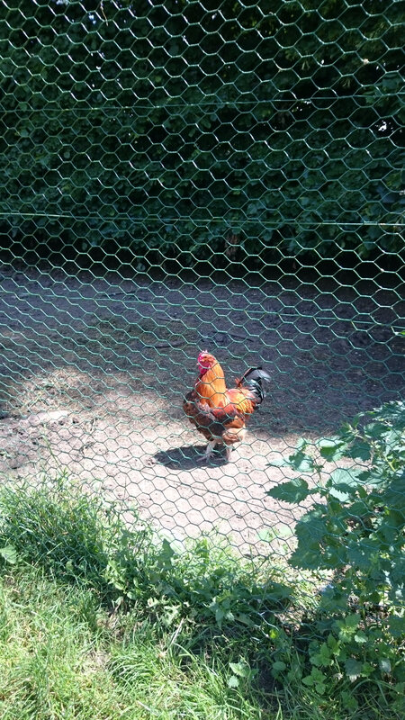 rencontre pont l eveque