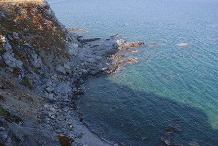 DSC01984