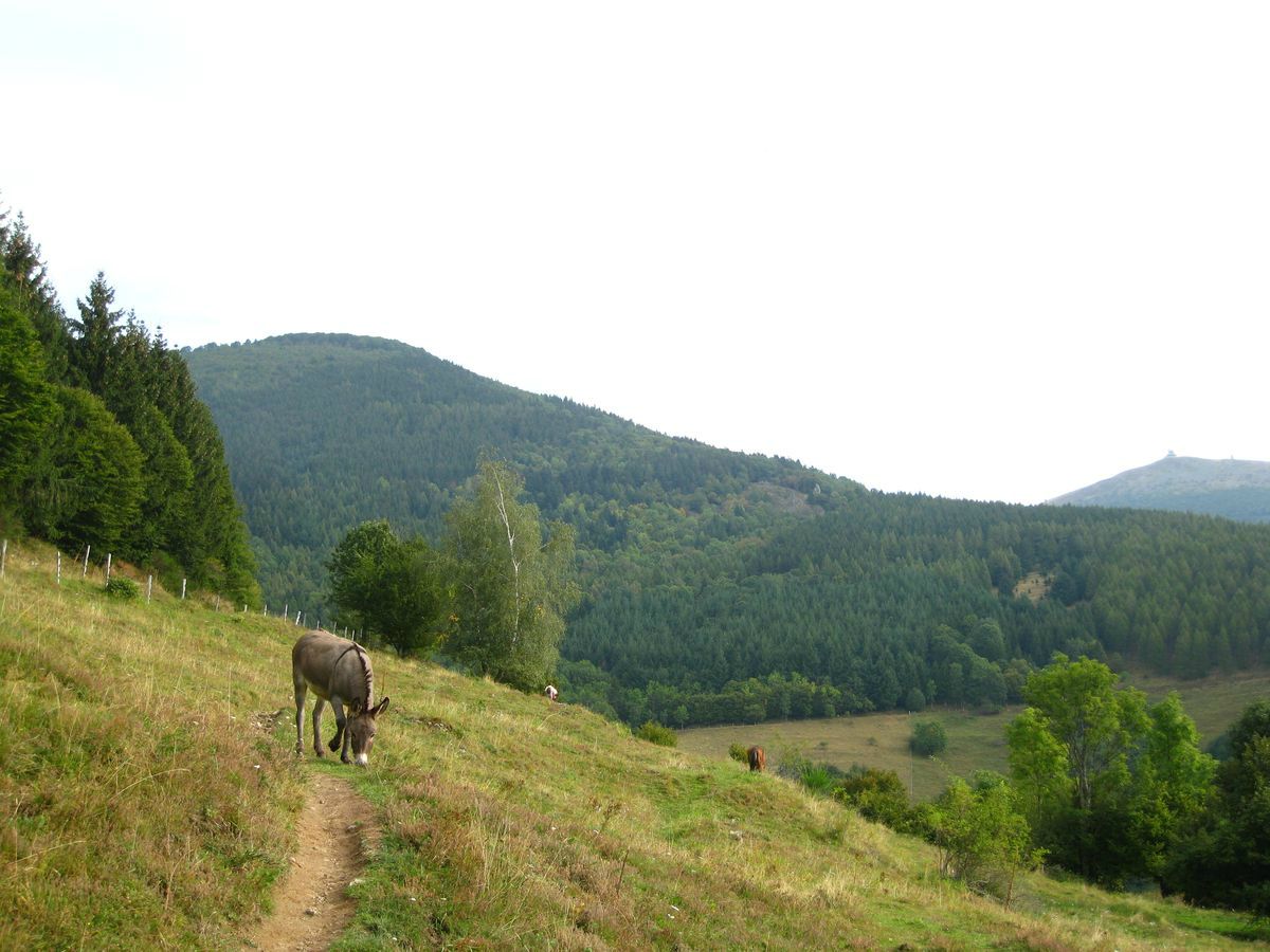 rencontre moosch