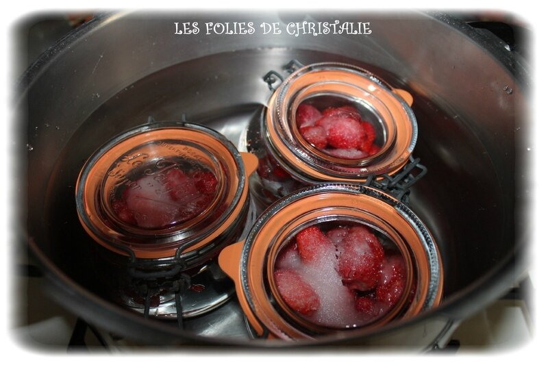 Fraises au naturel 3