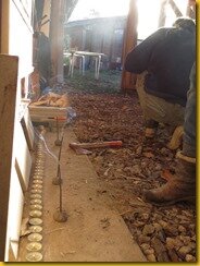 IMG_2809 IMG_2809