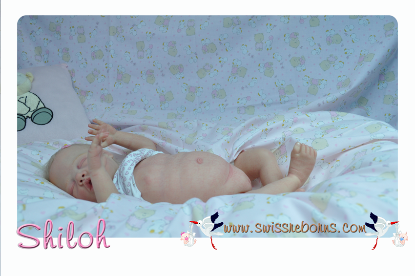 DSC_0063_modifie__1