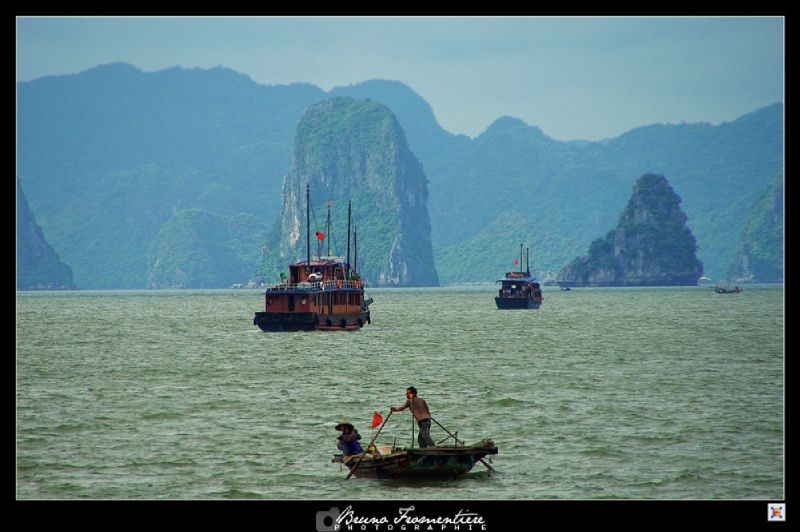 Halong 7