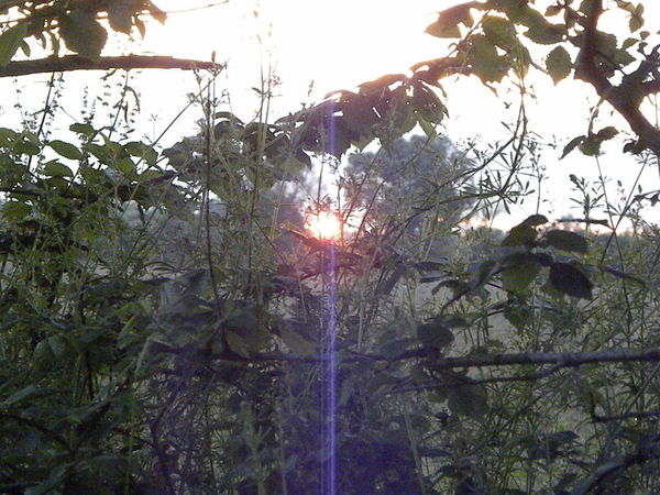 23mai_2013_NIKON3_068