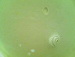 128256113_small