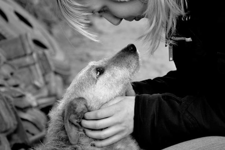 Rencontre avec personnes aimant animaux