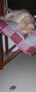 20060925_008