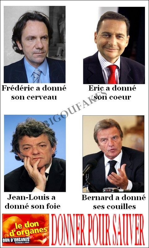 Sans_titre_1