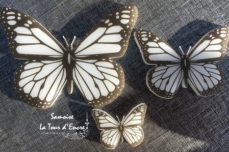 Samoise papillons 3
