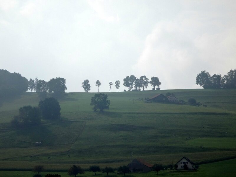 DSC01537