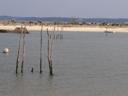 marée basse1