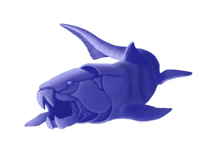 dunkleosteus