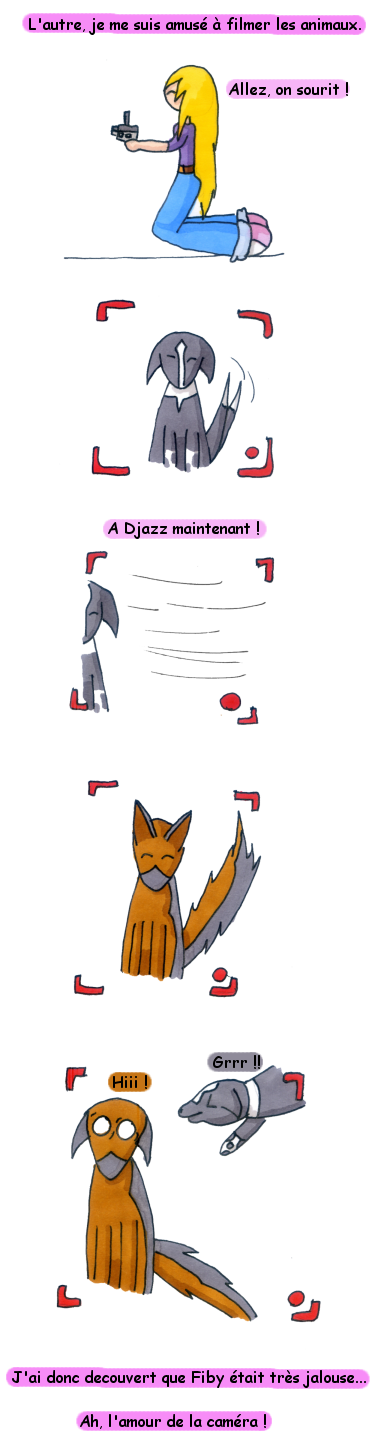 animauxvideo