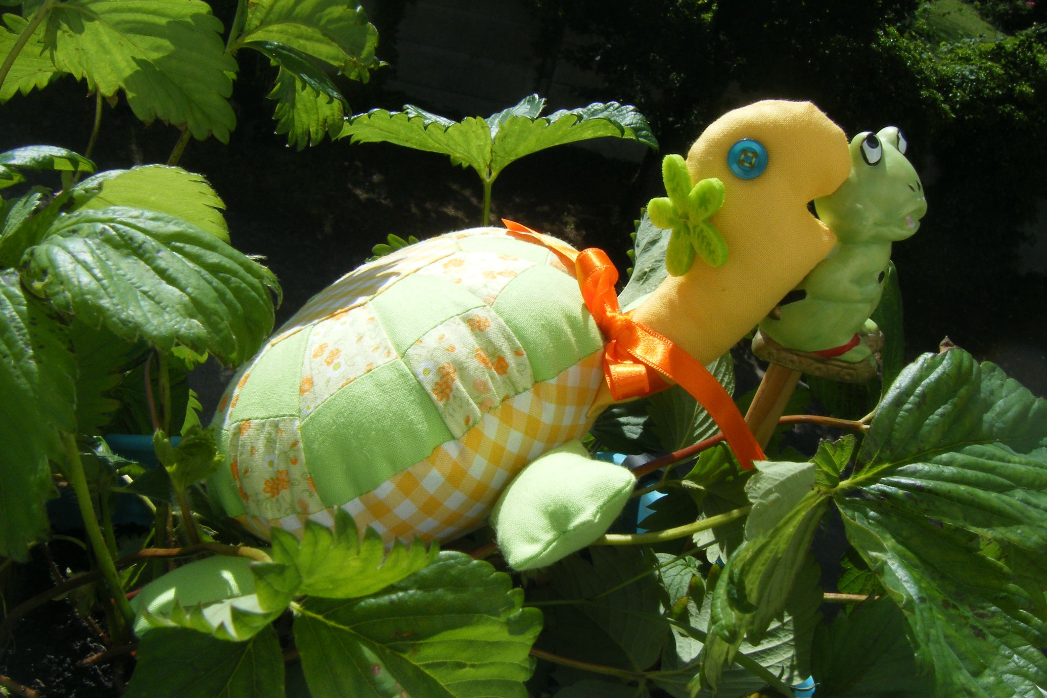 rencontre passion animaux