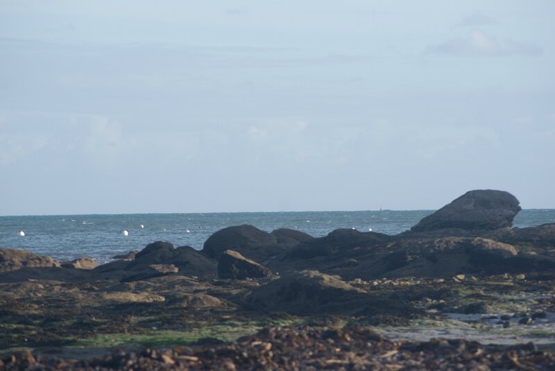 DSC09851