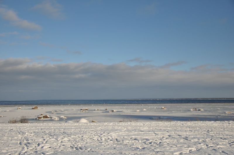 DSC_1248