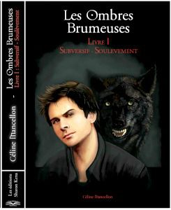 les-ombres-brumeuses---livre-1-2751262