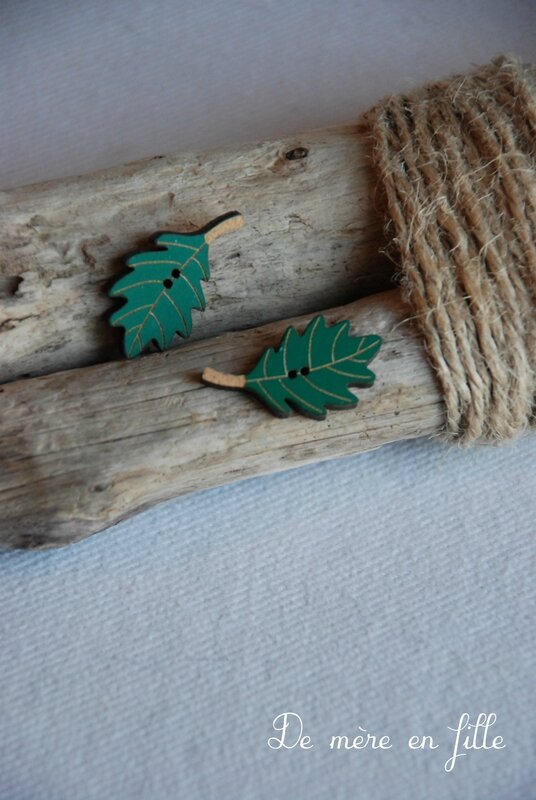 feuille de chêne verte
