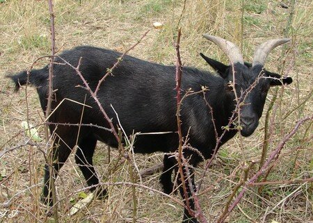Photo_712