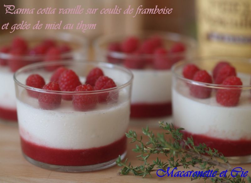 Vanille Joghurt Panna Cotta Mit Fruchtsoße — Rezepte Suchen