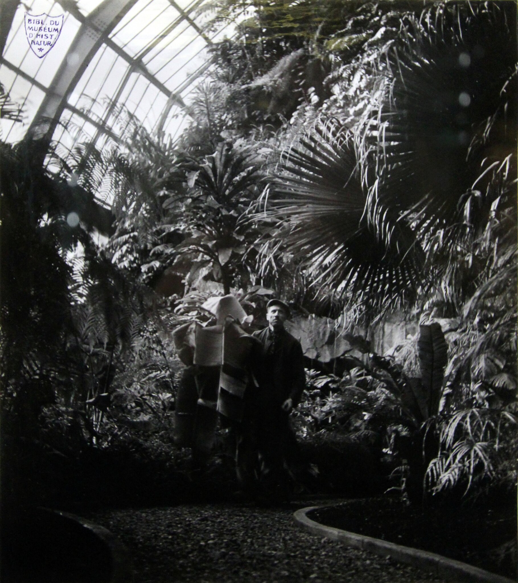 Jardin des plantes : tous les messages sur jardin des plantes ...