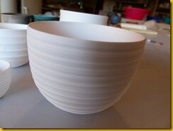 P1020423 P1020423