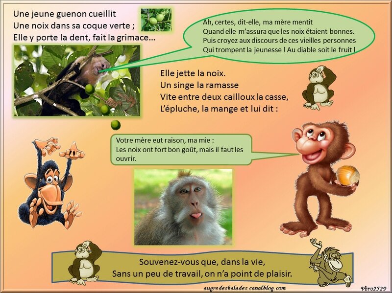 Dessin De La Guenon Le Singe Et La Noix La guenon, le singe et la noix - Jean-Pierre Claris de Florian - Fable