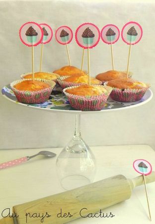 Muffins framboises-pécans Au pays des Cactus 2