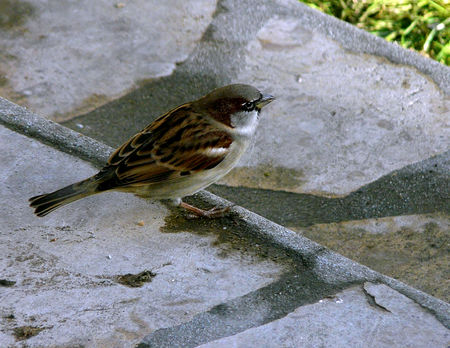 P1090859