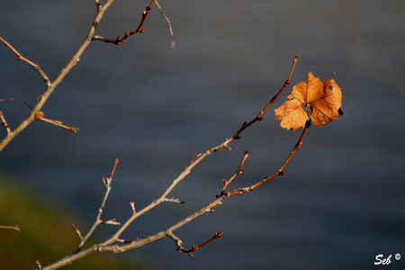 Inondation_03