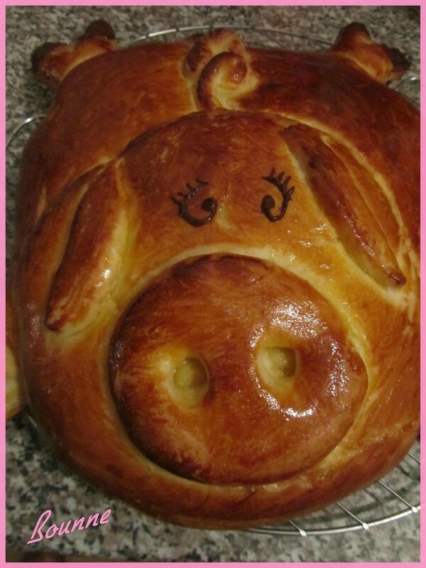 Mon cochon brioché (3)