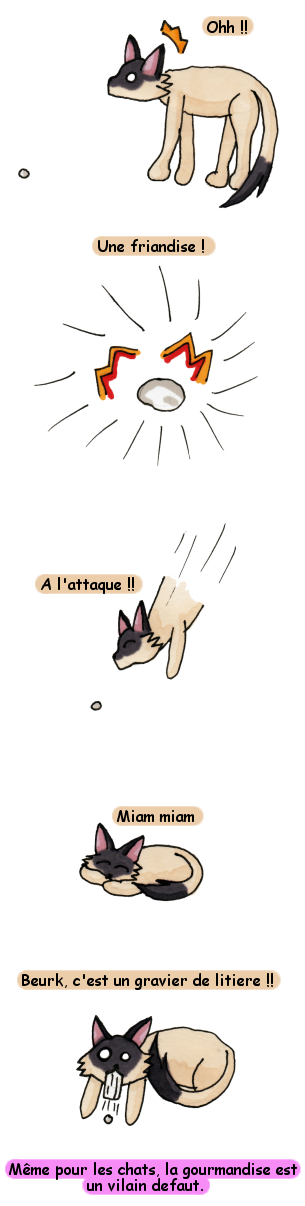 spidoufriandise