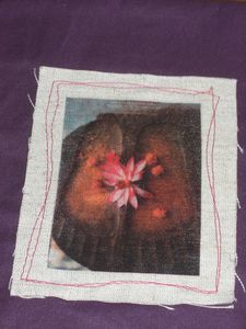CIMG2725