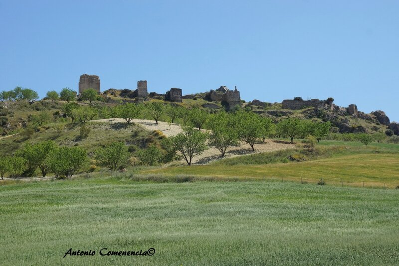 Castillo Turon