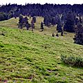 Paysages des Pyrénées 2015...