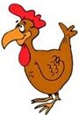 poulet poulet