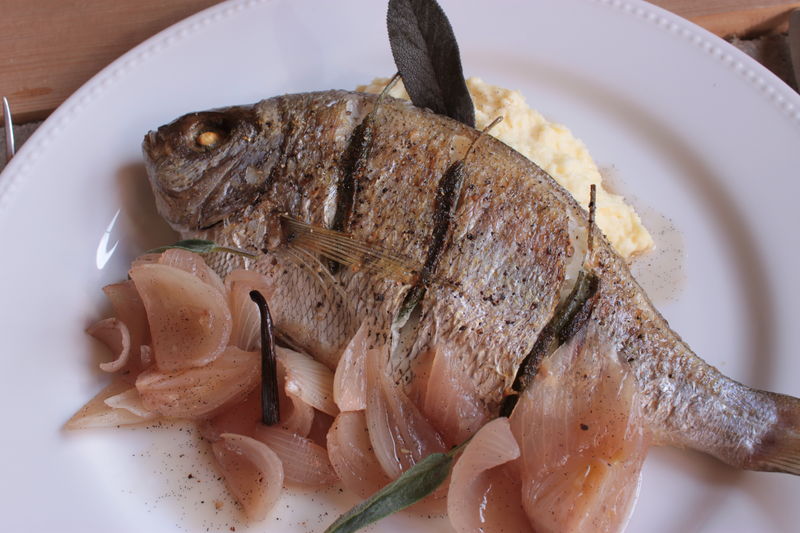 Dorrade grise à la sauge, éccalotes au vin rosé et a