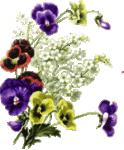 Fleur4