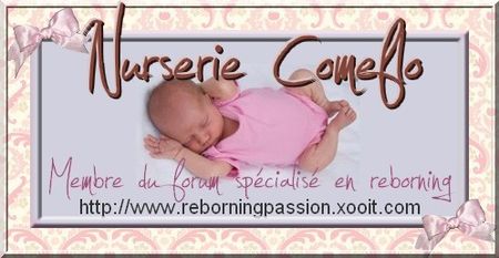 logo_comeflo_11e1690