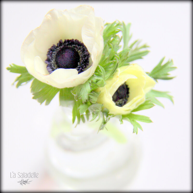 2017 03 01 2