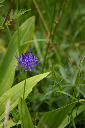 IMGP0815