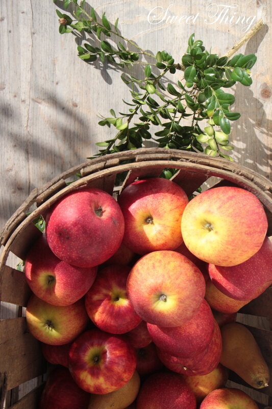 Saveur_d_automne_2