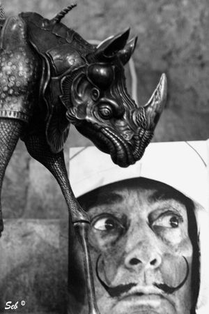 Dali_01